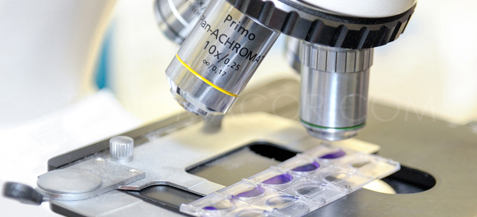 Un microscopio. A microscope.